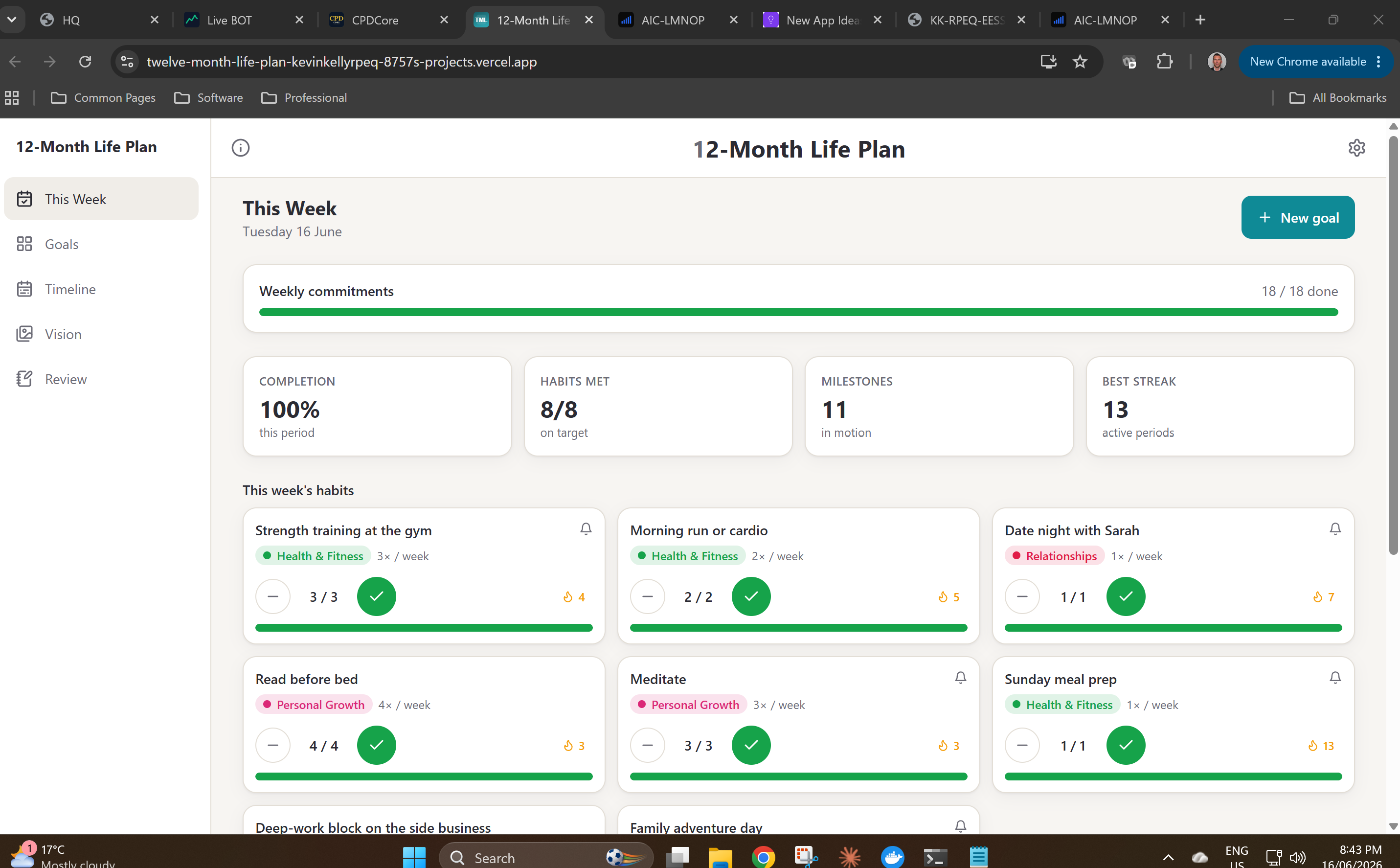 12-Month Life Plan desktop screenshot